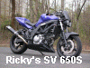 Ricky's SV 650 S